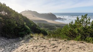 Un paysage côtier avec un premier plan sablonneux, une végétation luxuriante et une vue lointaine sur l’océan.