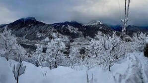 A snowy mountainous landscape with dense forest coverage.