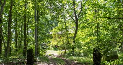 A secluded villa surrounded by forest / Agatsuma-gun Gunma