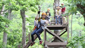 Haartrockner, Handtücher
