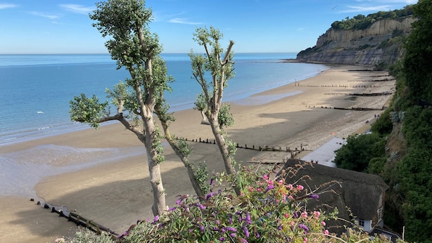 A coastal beach with a clear sky, trees, and a cliff. - 2 Shanklin Manor (Shanklin)
