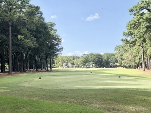 A golf course with a clear sky, surrounded by tall trees and a distant building.
