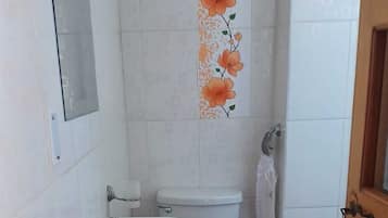 Hair dryer, towels, toilet paper
