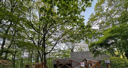 Westernstyle room 1 Japanesestyle room 2 / Nasugun Tochigi