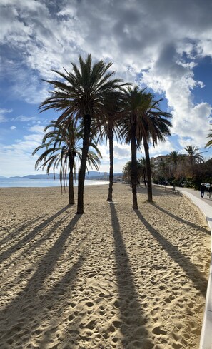 Playa