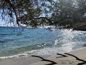 A beach with clear water, a sandy shore, and a tree branch overhanging.