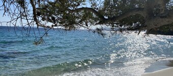 Appartement Proche Plage Restaurants Commerces et Toutes Commodités au Calme