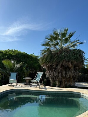 A swimming pool with lounge chairs, a palm tree, and a clear blue sky. - Vila das Águas Atins (Barreirinhas)