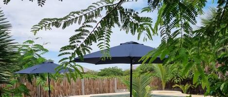 Outdoor pool, sun loungers