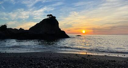 729 nights weekly plan Longterm stay in a styl / Shima Mie