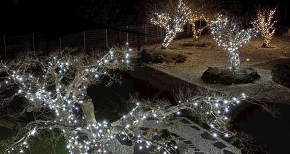 Enjoy BBQs and illuminations in the spacious garde - Rent a whole house / Mobara Chiba