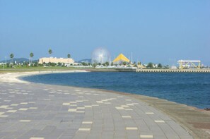 Playa