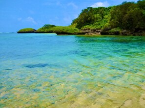 1 dormitorio, escritorio, wifi gratis y ropa de cama