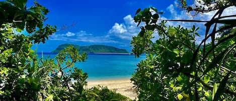 海滩
