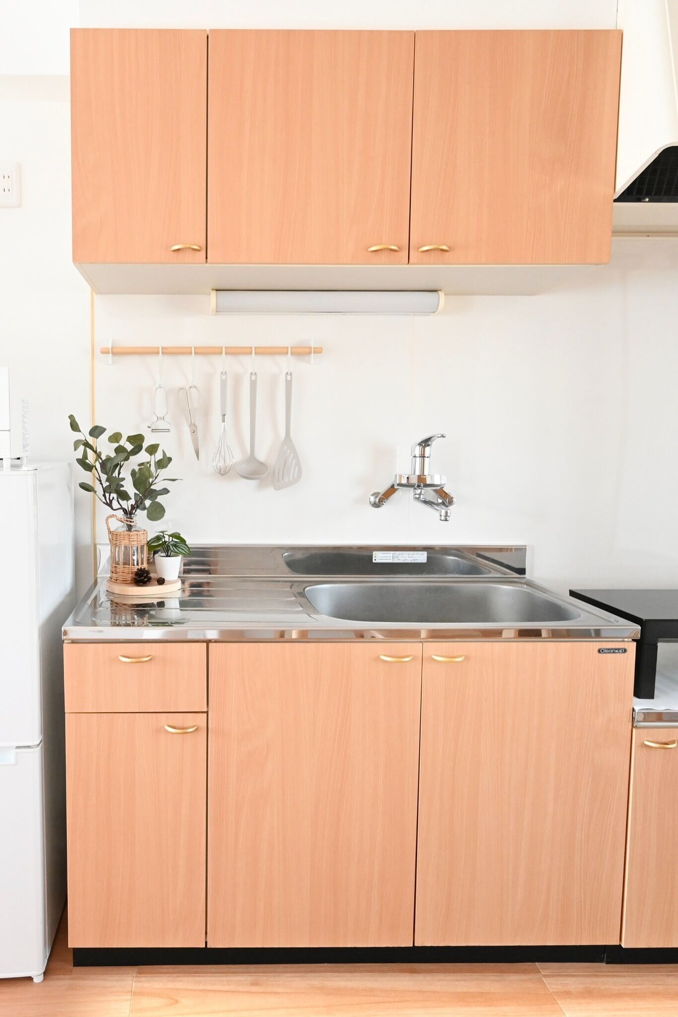 Fridge, microwave, stovetop, electric kettle