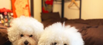 THE CABIN Kamakura 6 minutes walk to the popular / Kamakura Kanagawa