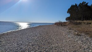 A pebbled beach with a clear sky and a forest in the background.