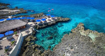 Gorgeous Ocean Front Sea Palm Villa #1