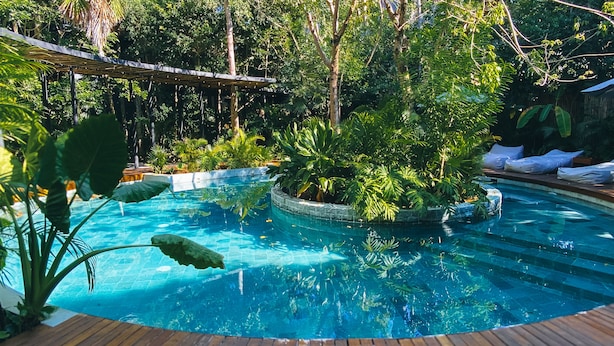 Una piscina rodeada de exuberante vegetación y una terraza de madera.