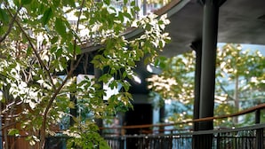 Una escalera de madera con barandillas de metal que conduce a un espacio exterior cubierto con vegetación.