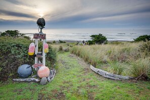 Nära stranden