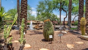 Un jardín desértico con diversos cactus y una pequeña cascada.