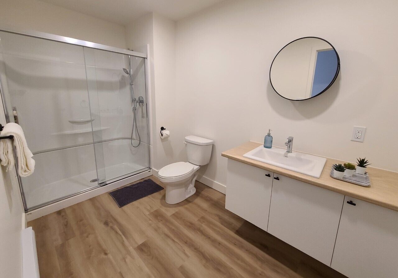Un bany modern amb un plat de dutxa de vidre, un vàter, un lavabo amb un mirall i una petita planta en maceta sobre la superfície.