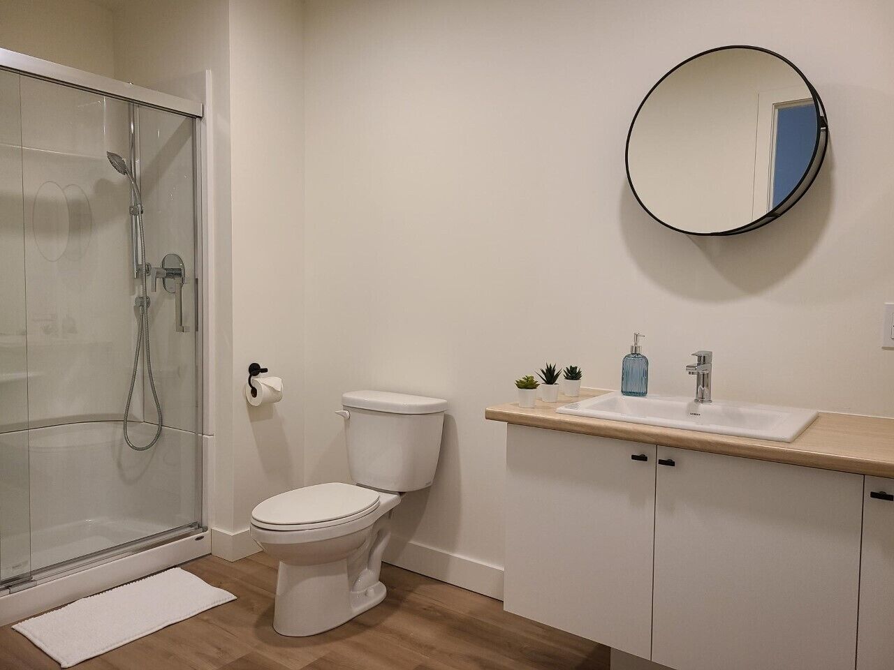 A bathroom with a glass shower enclosure, a toilet, a sink with a mirror, and a small countertop with plants.