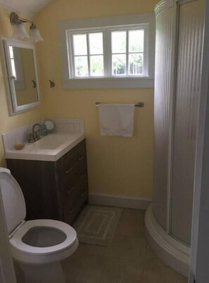 A bathroom with a toilet, sink, and shower. - Quiet Wilcox County Retreat-Long Leaf Pine Lodge (Rochelle)