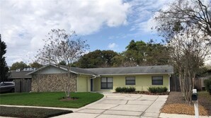 A two-story house with a stone facade, a front yard with a lawn and a small tree, and a mailbox.