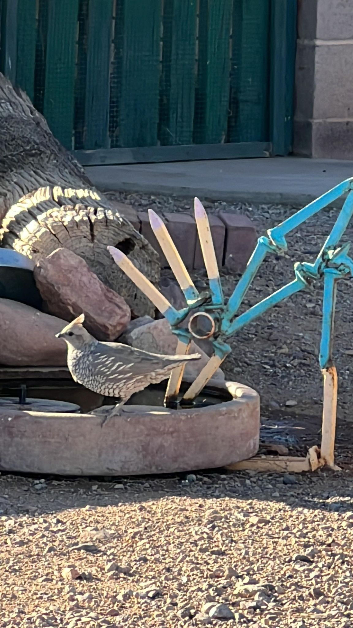 Un pájaro posado en una escultura de metal rústica con base circular, rodeado de rocas y una valla verde al fondo.