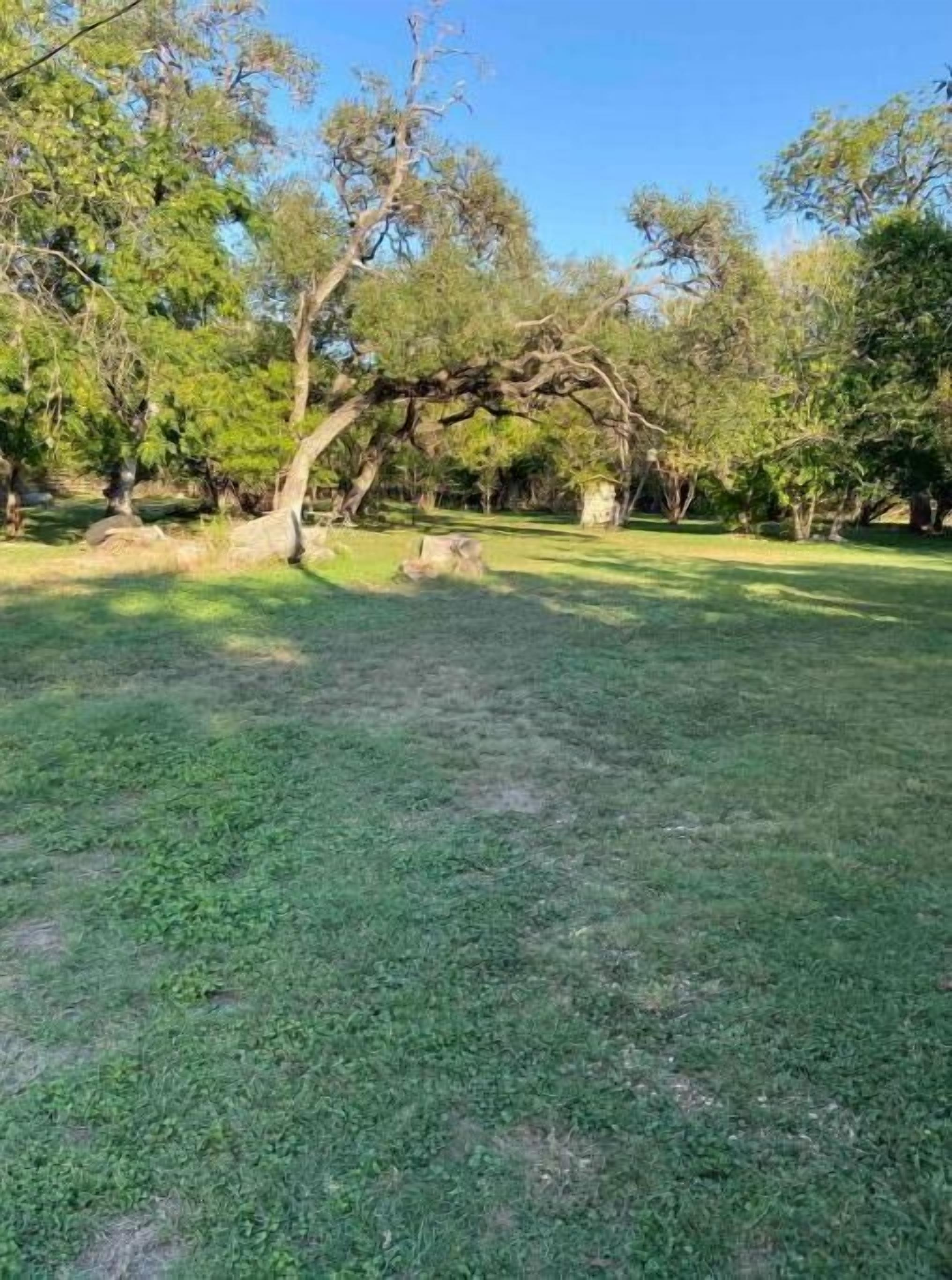 A grassy outdoor area with trees and a stone structure.