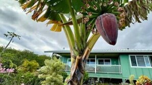 Una casa con fachada verde y un balcón.