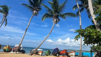 Playa en los alrededores