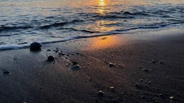 A beach at sunset with calm water and a clear sky.