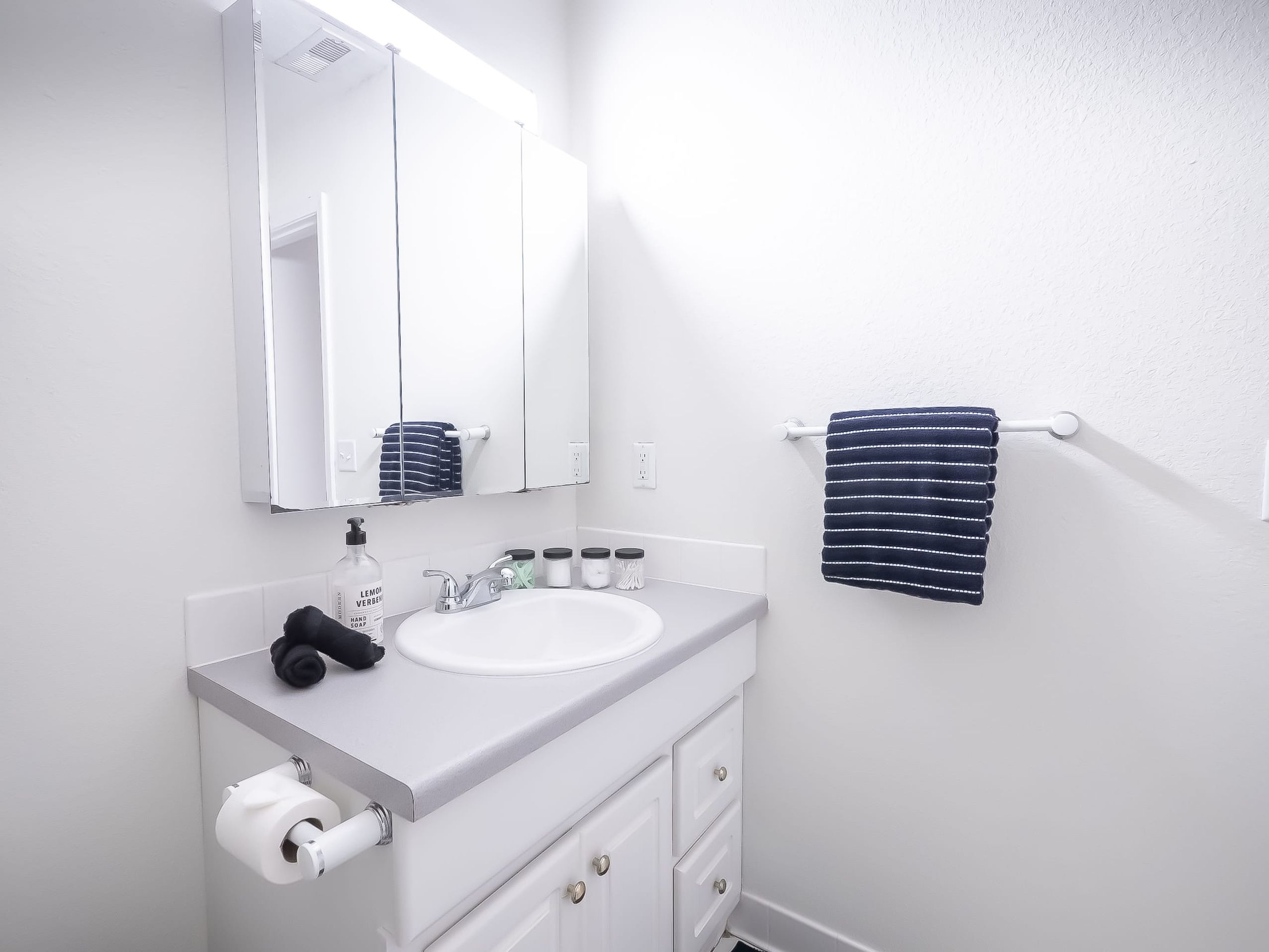 A bathroom with a white sink, a mirror, a towel rack, and a bottle of hand soap.