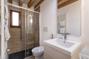 Shower, hair dryer, towels