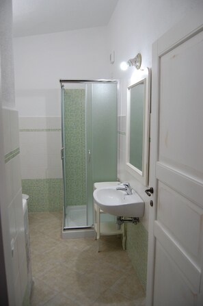 Shower, hair dryer