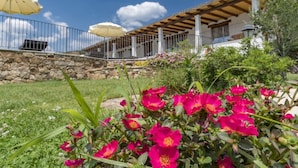 Un mur de pierres, une pergola en bois et des fleurs roses dans un jardin.