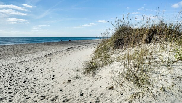 A sandy beach with sparse vegetation and a clear sky. - Serene Oak Island Home w/ Private Saltwater Pool! (Oak Island)