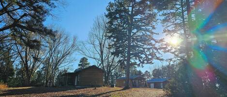 A cabin surrounded by tall trees and a clear sky.