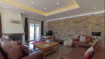 TV, fireplace, video games