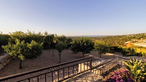 A vineyard with rows of grapevines, a stone staircase, and a metal railing. - Villa 'Peacehaven' with Mountain View, Wi-Fi and Air Conditioning (Loulé)