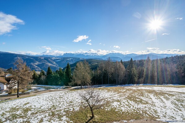 Paisatge cobert de neu amb cel clar, muntanyes allunyades i un arbre solitari al primer pla.