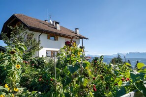 Uma casa com telhado inclinado, rodeada por um jardim com girassóis e framboesas.