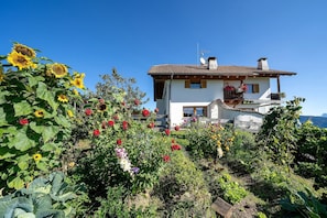 A house surrounded by a garden with various plants and flowers.
