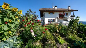 Une maison blanche avec un toit brun, entourée d’un jardin où poussent différentes plantes et fleurs.