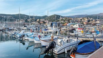 Marina