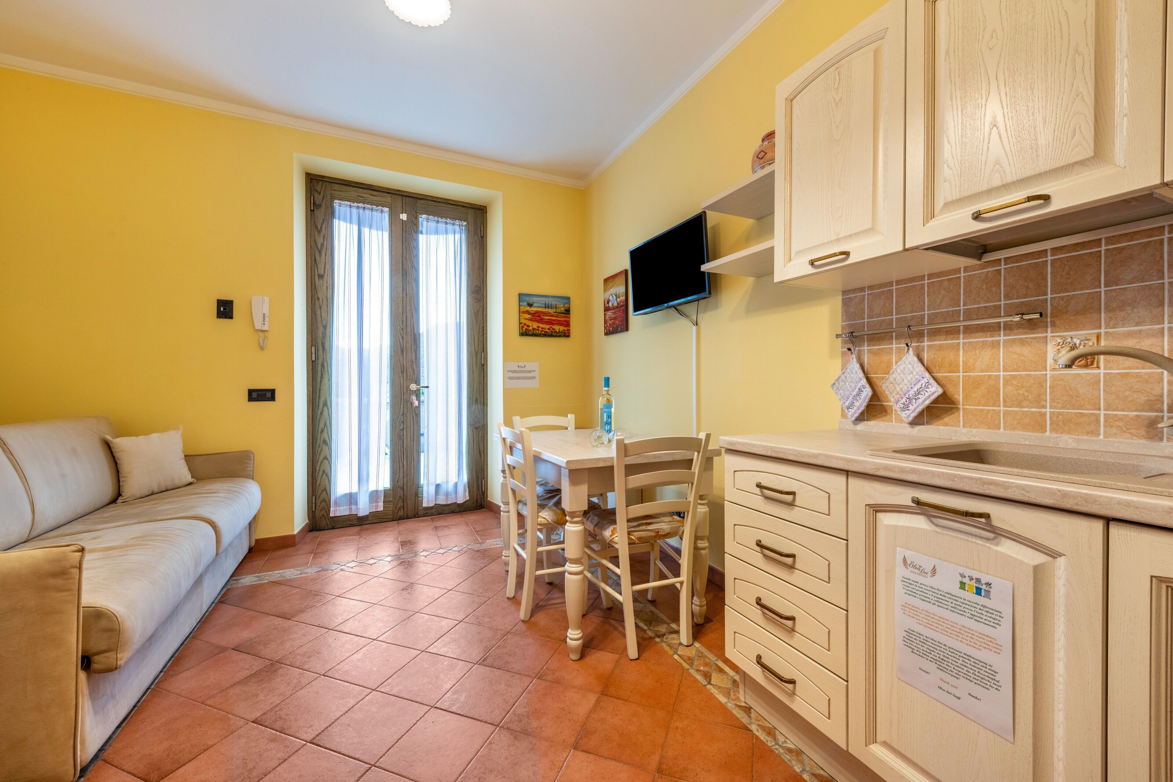 A compact living space with a sofa, a dining table with chairs, a kitchen area with cabinets and a sink, and a television mounted above the counter.