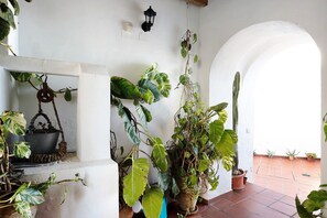 Colección de plantas en macetas en un rincón, con una maceta colgante y un farol que se adhiere a la pared.